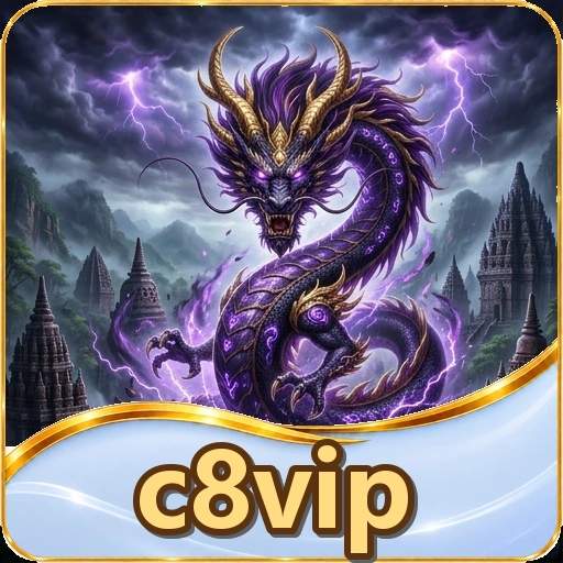 Detail paket instalasi dan info berkas c8vip APK